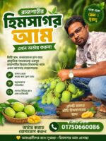 হিমসাগর আম ১২ কেজি